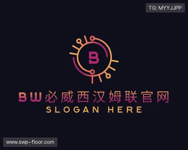 解读bw必威西汉姆